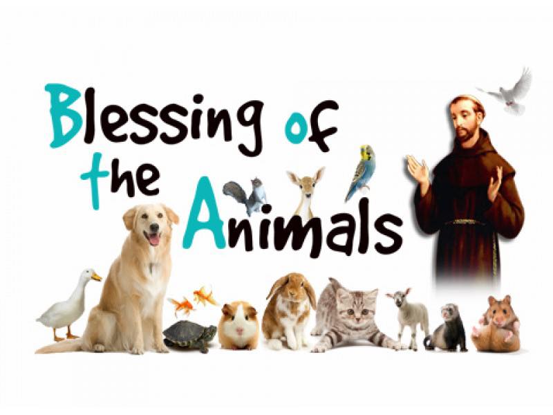 Blessing of the animals 2024 Parish of Lower Ottawa Valley